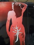 Broken Mirror Art Titel the red Woman von Simone Stanschus 